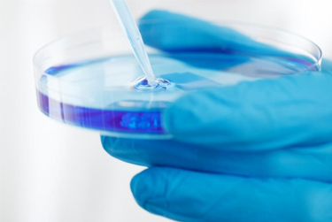 化學(xué)中間體項目工藝轉(zhuǎn)讓